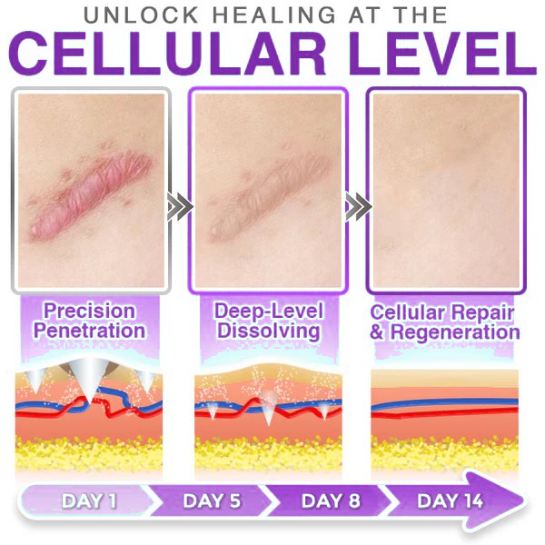 Wildtidey™ 3-in-1 Microneedle Care Patch