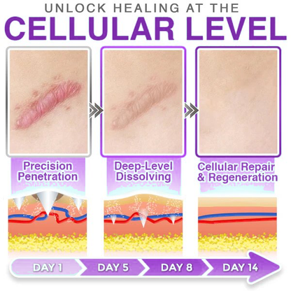 Wildtidey™ 3-in-1 Microneedle Care Patch